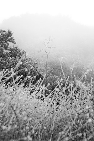 Jon’s Birthday Hike - 06/01/24 - 0159