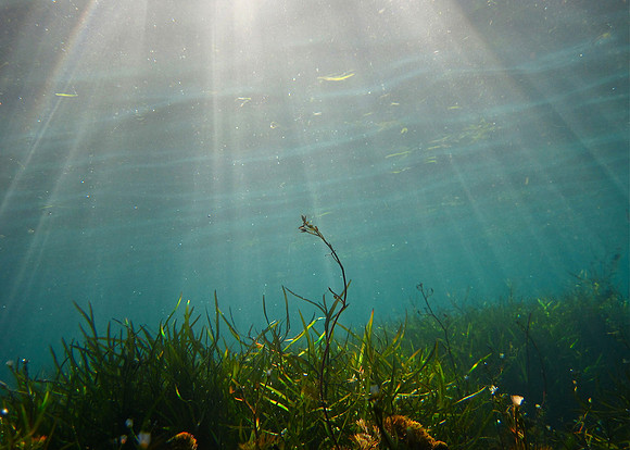 Barton Springs Light