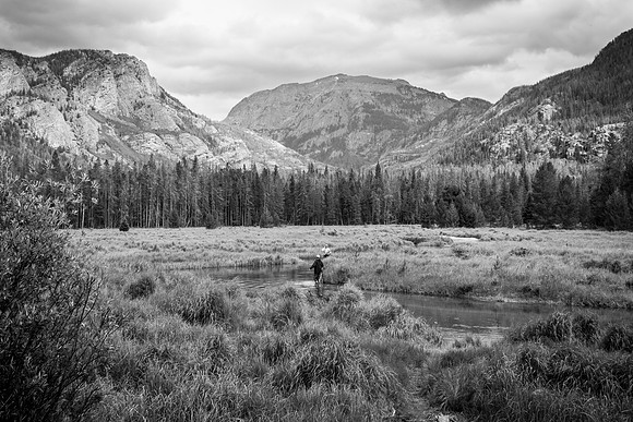 River Through Meadow
