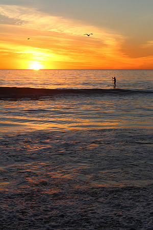SUP into the Sunset