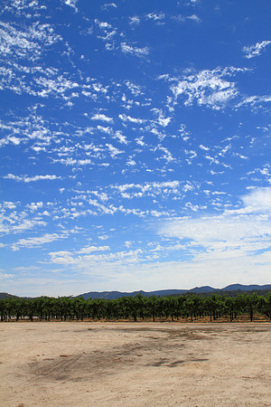 Templeton Blue Skies