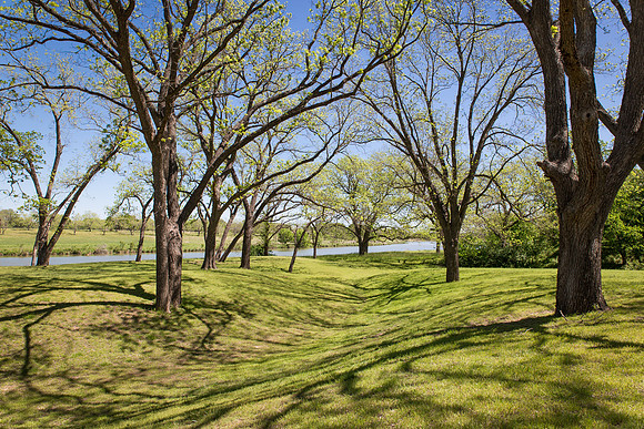 Live Oak Picnic Area
