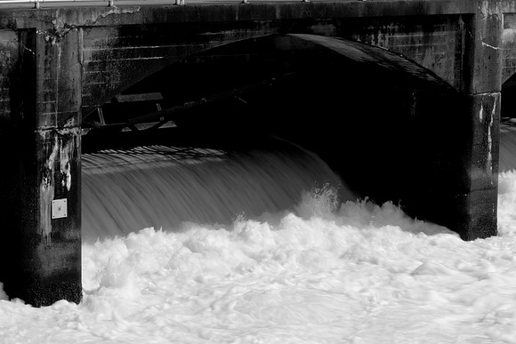 The Ballard Locks