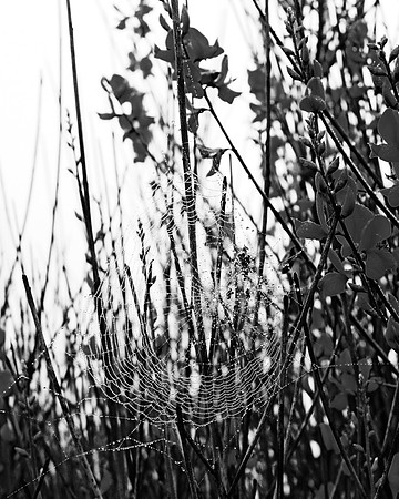 Jon’s Birthday Hike - 06/01/24 - 0090
